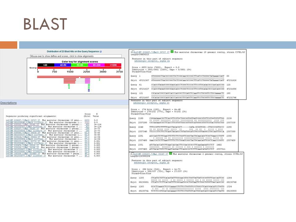 import blast results into clc sequence viewer